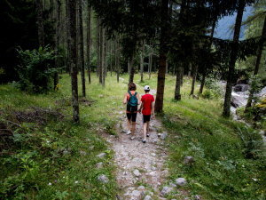 chambres d'hôtel appartements hébergement montagnes Sudètes repos en Pologne